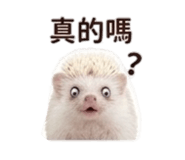 858283483
