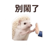 858283485