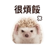 858283492