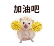 858283496