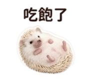 858283499