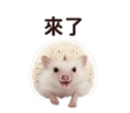 858283500