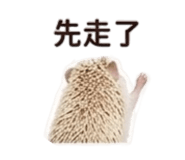858283517