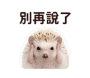 858283519