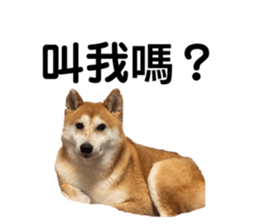 858285254