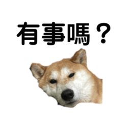 858285256