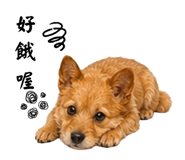 858286446
