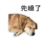 858286471