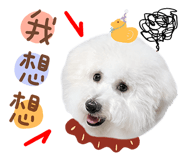 858286496