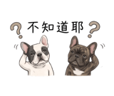 858287289
