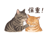 858287523