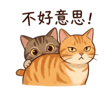 858287535