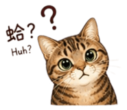 858289256