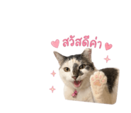 858289993