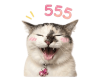 858289995