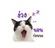 858290671