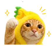 858290711