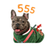 858290836