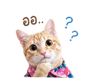 858290859