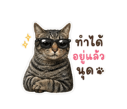 858290967