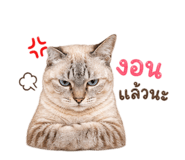 858291670