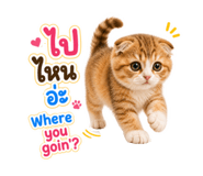 858292311