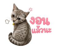 858292679
