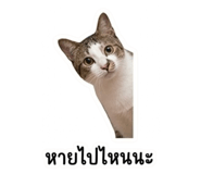858292891