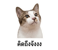 858292892