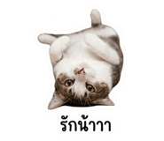 858292893