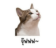 858292894