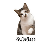 858292895