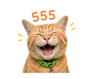 858293202