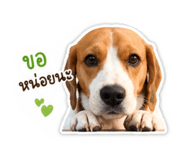 858293468
