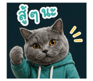 858293554