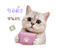 858294557