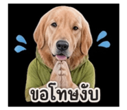 858296196