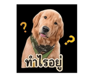 858296200