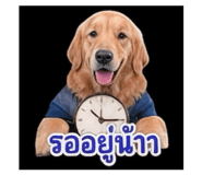 858296201