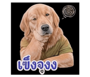 858296209