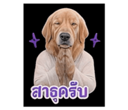 858296211