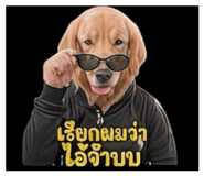 858296215