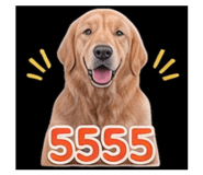 858296216