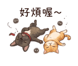 858297282