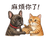 858297311