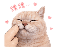 858298553
