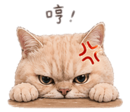858298561