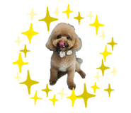 858298749