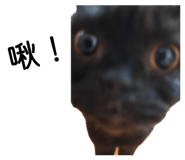 858299883
