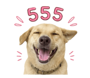 858303227